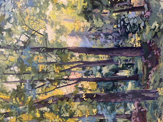 Woodland Sunrise