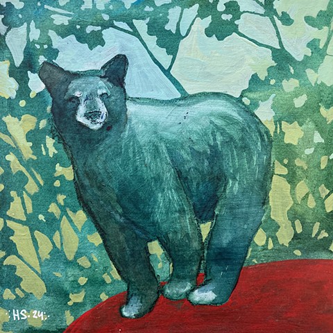 Black Bear 2