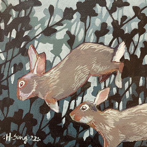 Eastern Cottontail Pair