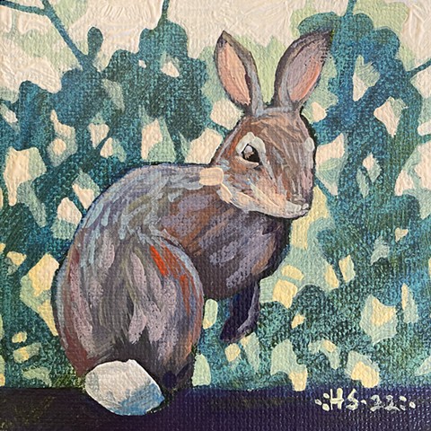 Cottontail in the Thicket
