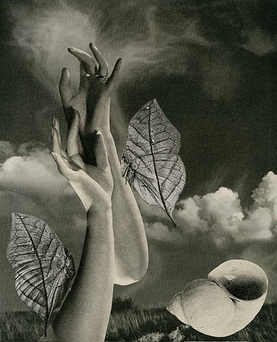 2025 Collages