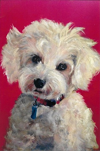 poodle oil painting