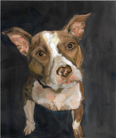 Oil painting of Pit Bull by Karla jo Renee