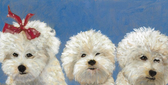 Oil painting of Bichon Frise by Karla jo Renee 