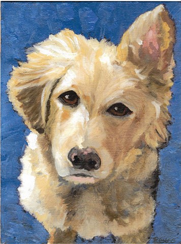 Oil Painting of Golden Retriever mix by Karla jo Renee