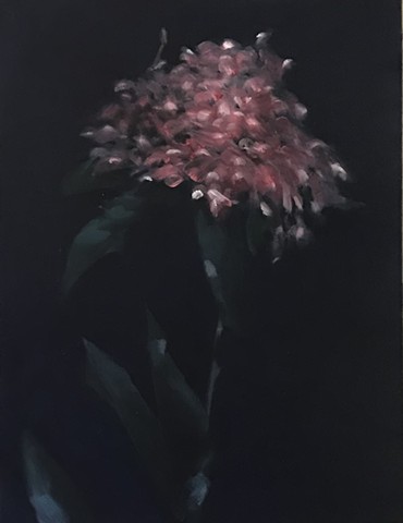 Untitled (Flower)