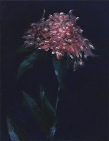 Flowers in Cold Climates