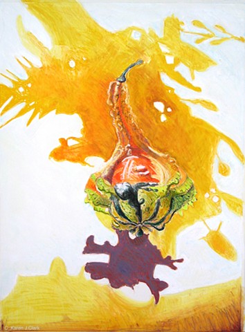 Mixed media drawing of an ornamental gourd and the shadows cast by flowers.