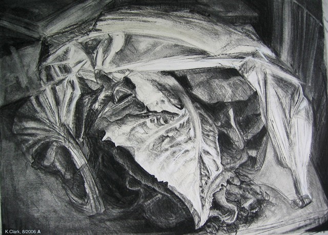  A charcoal drawing of greens bought at the Farmer's Market.