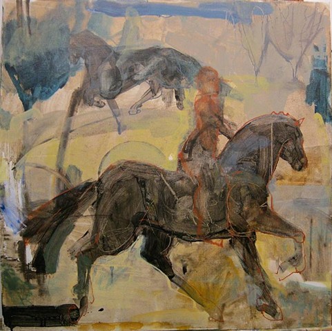horse, landscape, grey, winter, rider