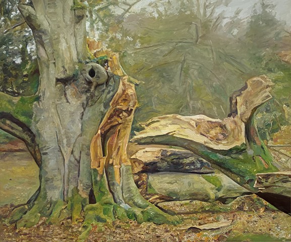 Wayne Clough - Artist