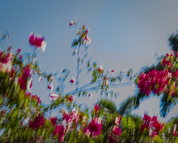 Spirits of the Flowers Keep Watch 
