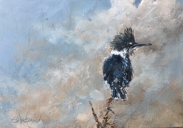 “Belted Kingfisher”