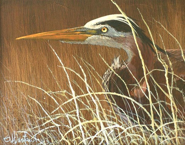 Florida Blue Heron Hunting Acrylic painting Scott Hiestand