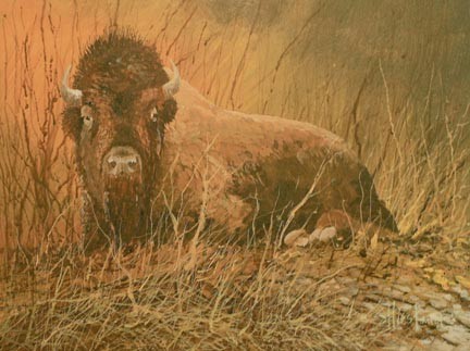 Paynes Prairie Buffalo Acrylic painting Scott Hiestand