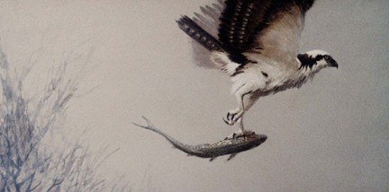 Florida Osprey Fishing Acrylic Painting Scott Hiestand