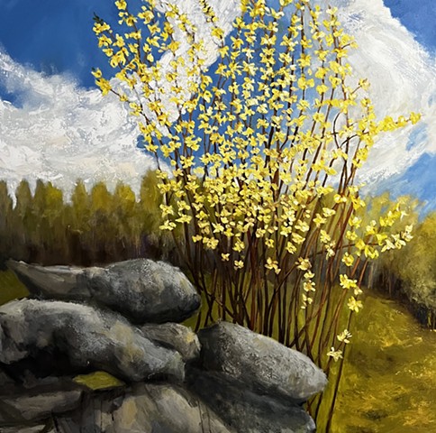 Forsythia
