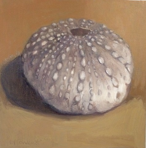 Painting, Nature, Beach, Seashell, Sea urchin, Sea biscuit