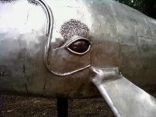 Stainless Steel "Baby Right Whale" by Thomas Prochnow