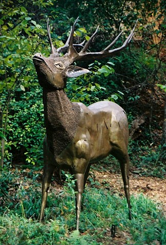 Bronze Elk sculpture by Thomas Prochnow