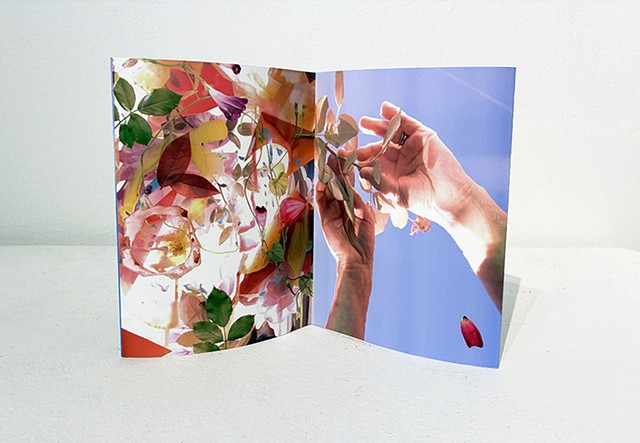 Sky & Roses Artist Book