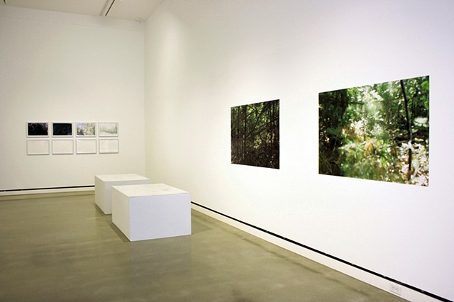 Installation View, "Out of the Light and Into the Shadows"
