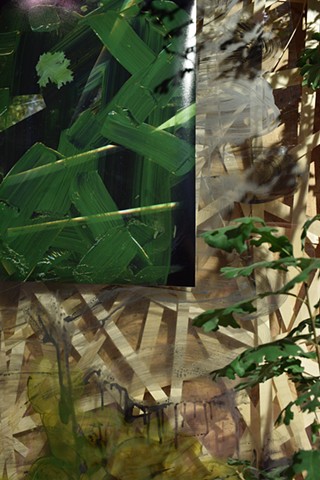 Detail of Installation. Quercus: The Constant Oak