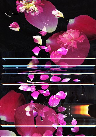 Detail. Rose Reverie, Inkjet on Mylar, 44 x 180 inches