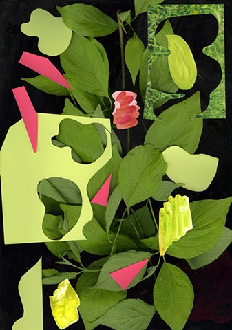 Dogwood & Pink