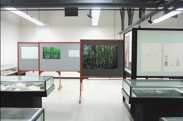 Installation View, "We've been to this site."