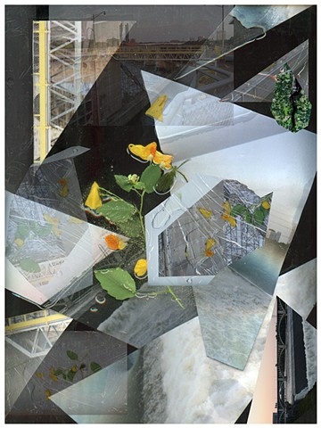 Regan Golden, Regan Golden-McNerney, Saint Anthony Falls, Immersion from the Observation Deck