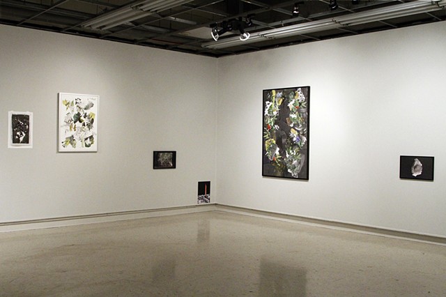 Installation View, Groundswell. 