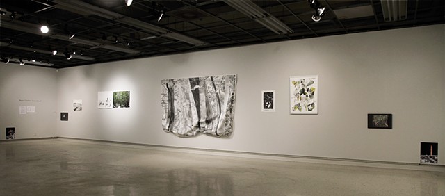 Installation View, Groundswell.