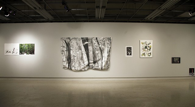 Installation View, Groundswell. 