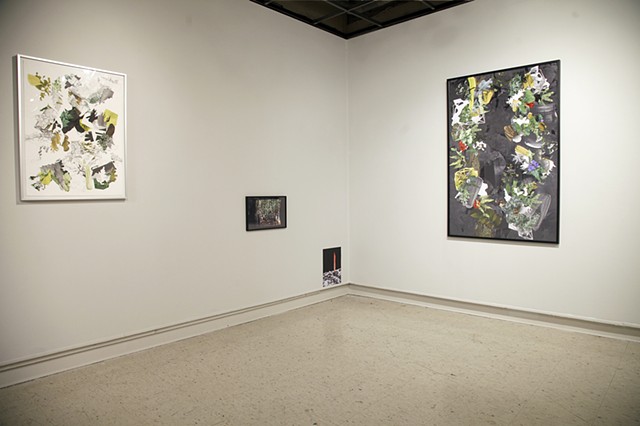 Installation View: "Woodland Conglomerate" and "Far Afield"