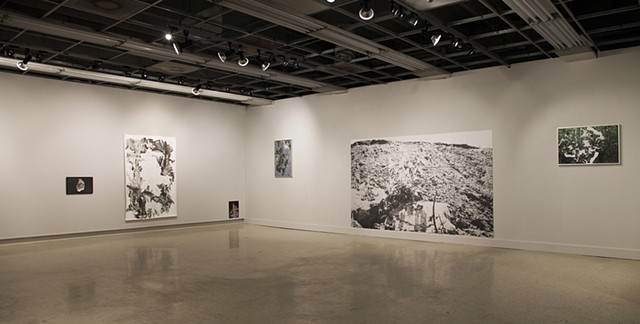 Installation View, Groundswell.