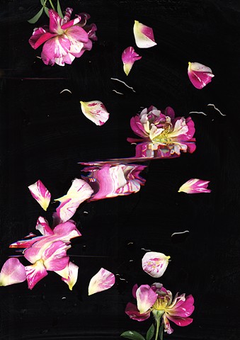 Detail. Rose Reverie: Painter's Palette no.1, Inkjet on Mylar, 44 x 180 inches
