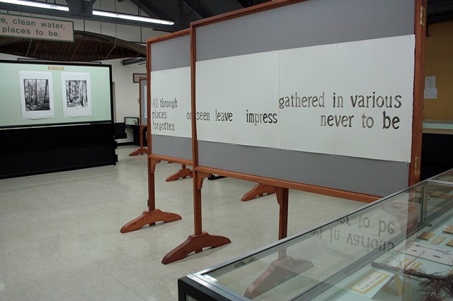 Installation View, "We've Been to this Site." (View from left of the back of gallery)