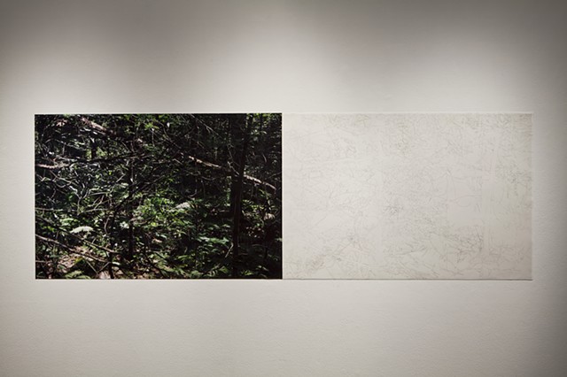 Installation View, "Clear Cut" at Gallery 44: Centre for Contemporary Photography.