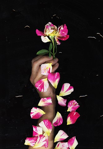 Rose Reverie: Painter's Palette no. 2, Inkjet on Mylar, 44 x 180 inches