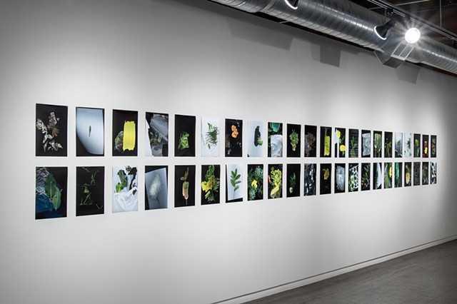 Installation View, Selection of The Prairie Constructs at Soo Visual Art Center.   image credit: Rik Sferra