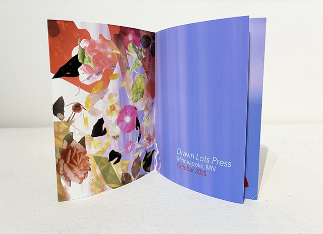 Sky & Roses Artist Book