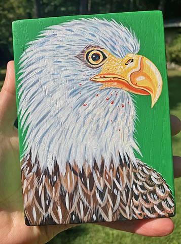 Bald Eagle