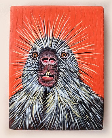 Porcupine
