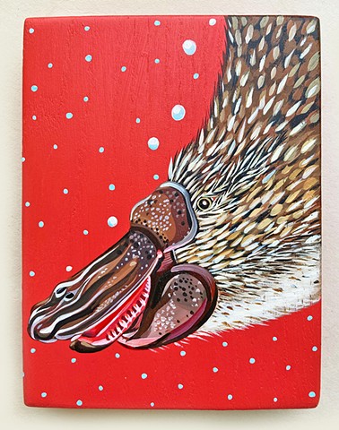 Platypus