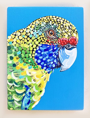Green Parrot