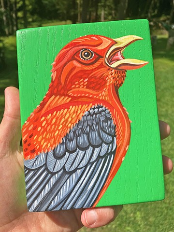 Scarlet Tanager