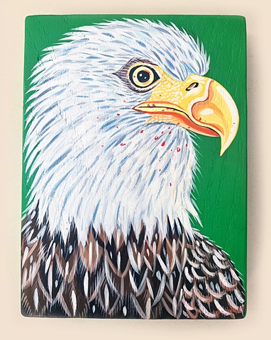 Bald Eagle