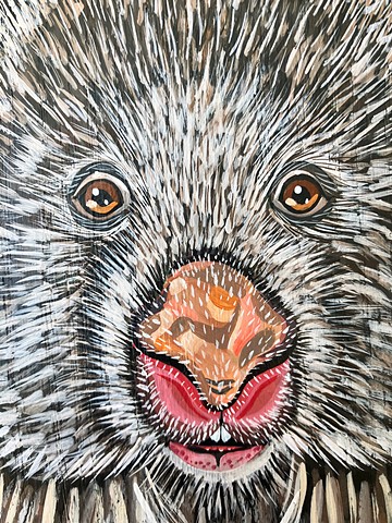 Wombat