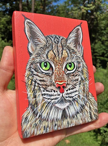 Bobcat